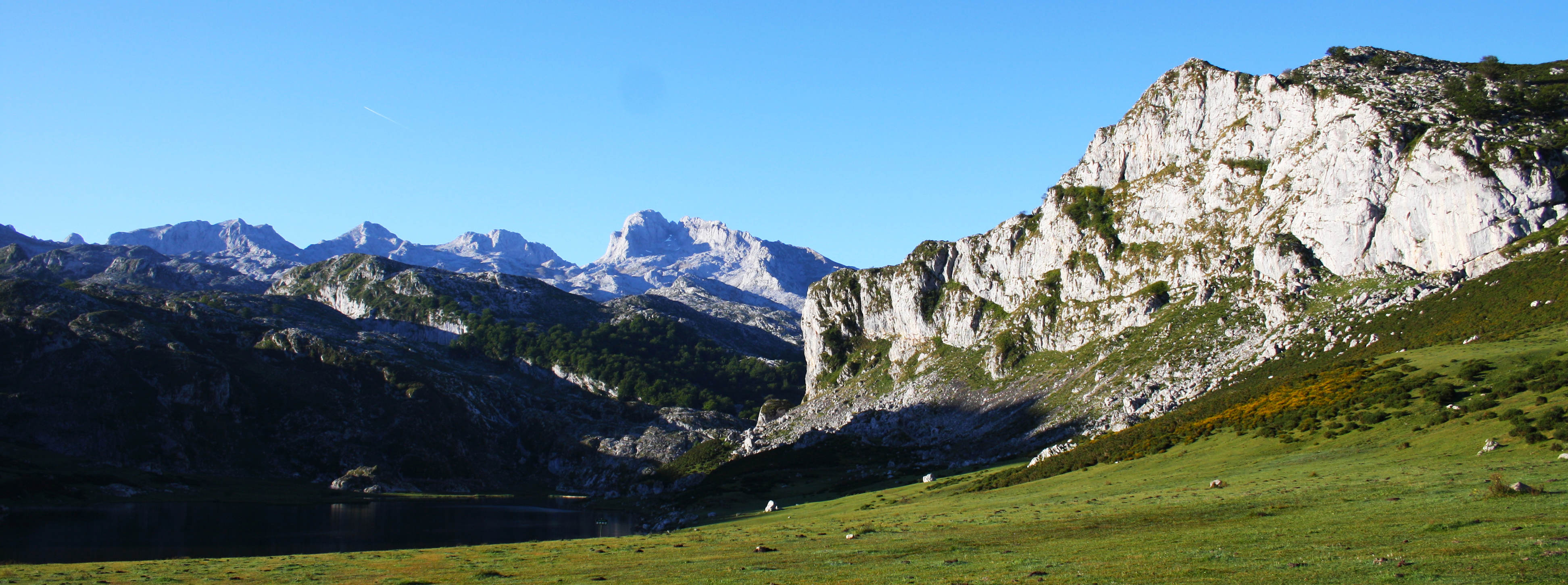 Picos de Europa